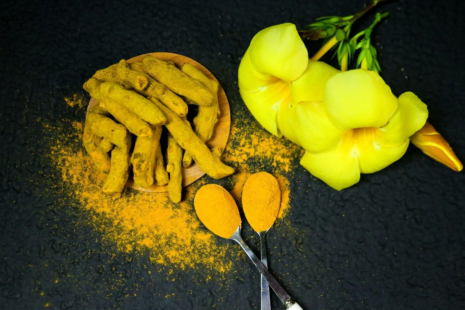 Bright yellow turmeric powder in dark clay bowl surrounded by whole turmeric roots on stone surface, dramatic natural lighting, deep shadows